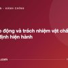 Kỷ luật lao động và trách nhiệm vật chất theo quy định hiện hành - tuvannhathuong.com