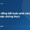 Các hợp đồng bắt buộc phải công chứng hoặc chứng thực - tuvannhathuong.com