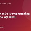 Cách tính mức lương hưu hằng tháng theo luật BHXH - tuvannhathuong.com