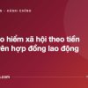 Đóng bảo hiểm xã hội theo tiền lương trên hợp đồng lao động - tuvannhathuong.com