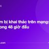 Tác phẩm bị khai thác trên mạng: làm gì trong 48 giờ đầu - tuvannhathuong.com